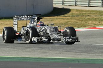 World © Octane Photographic Ltd. Infiniti Red Bull Racing RB11 – Daniil Kvyat. Sunday 22nd February 2015, F1 Winter test #2, Circuit de Barcelona Catalunya, Spain, Day 4. Digital Ref : 1191CB1L9299