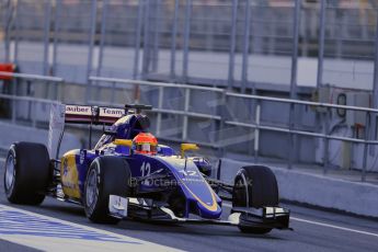 World © Octane Photographic Ltd. Sauber F1 Team C34-Ferrari – Felipe Nasr. Sunday 22nd February 2015, F1 Winter testing, Circuit de Catalunya, Barcelona, Spain, Day 4. Digital Ref : 1191LB1D9097
