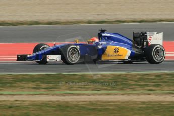 World © Octane Photographic Ltd. Sauber F1 Team C34-Ferrari – Felipe Nasr. Friday 27th February 2015, F1 Winter test #3, Circuit de Barcelona-Catalunya, Spain Test 2 Day 2. Digital Ref : 1193CB1L1368