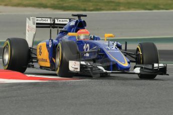 World © Octane Photographic Ltd. Sauber F1 Team C34-Ferrari – Felipe Nasr. Sunday 1st March 2015, F1 Winter test #3, Circuit de Barcelona-Catalunya, Spain Test 2 Day 4. Digital Ref: 1195CB1L3748