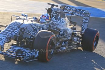 World © Octane Photographic Ltd. Infiniti Red Bull Racing RB11 – Daniel Ricciardo. Sunday 1st February 2015, Formula 1 Winter testing, Jerez de la Frontera, Spain. Digital Ref : 1180CB1D1083