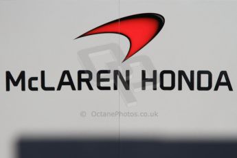 World © Octane Photographic Ltd. McLaren Honda MP4/30 – Fernando Alonso. Sunday 1st February 2015, Formula 1 Winter testing, Jerez de la Frontera, Spain. Digital Ref: 1180CB7D9422
