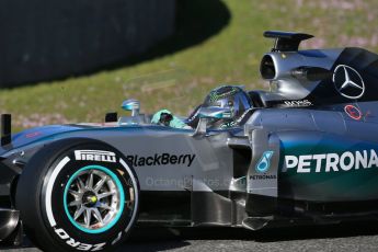 World © Octane Photographic Ltd. Mercedes AMG Petronas F1 W06 Hybrid – Nico Rosberg. Sunday 1st February 2015, Formula 1 Winter testing, Jerez de la Frontera, Spain. Digital Ref : 1181LB1D1310
