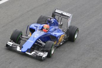 World © Octane Photographic Ltd. Sauber F1 Team C34-Ferrari – Felipe Nasr. Monday 2nd February 2015, Formula 1 Winter testing, Jerez de la Frontera, Spain. Digital Ref : 1182CB1D2288
