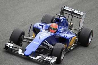 World © Octane Photographic Ltd. Sauber F1 Team C34-Ferrari – Felipe Nasr. Monday 2nd February 2015, Formula 1 Winter testing, Jerez de la Frontera, Spain. Digital Ref : 1182CB7D9658