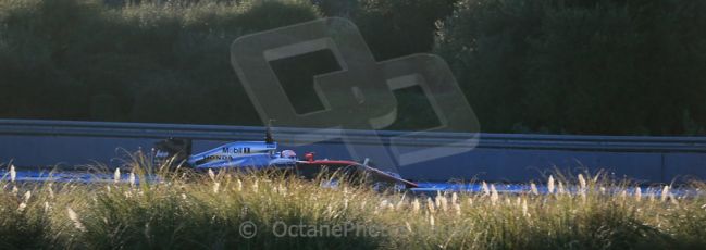 World © Octane Photographic Ltd. McLaren Honda MP4/30 - Jenson Button. Monday 2nd February 2015, Formula 1 Winter testing, Jerez de la Frontera, Spain.Digital Ref: 1182LB1D1773