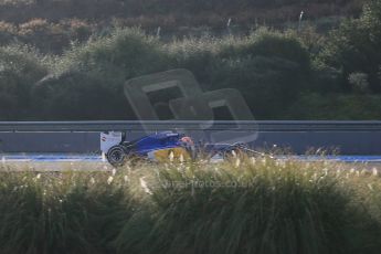 World © Octane Photographic Ltd. Sauber F1 Team C34-Ferrari – Felipe Nasr. Monday 2nd February 2015, Formula 1 Winter testing, Jerez de la Frontera, Spain. Digital Ref : 1182LB1D1873