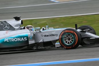 World © Octane Photographic Ltd. Mercedes AMG Petronas F1 W06 Hybrid – Lewis Hamilton. Monday 2nd  February 2015, Formula 1 Winter testing, Jerez de la Frontera, Spain. Digital Ref : 1182LB1D2222