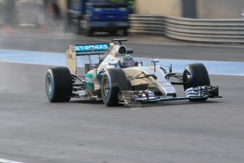 World © Octane Photographic Ltd. Mercedes AMG Petronas F1 W06 Hybrid – Nico Rosberg. Tuesday 3rd February 2015, Formula 1 Winter testing, Jerez de la Frontera, Spain. Digital Ref : 1183CB1D2511