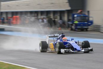 World © Octane Photographic Ltd. Sauber F1 Team C34-Ferrari – Felipe Nasr. Tuesday 3rd February 2015, Formula 1 Winter testing, Jerez de la Frontera, Spain. Digital Ref : 1183CB1D2583