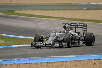 World © Octane Photographic Ltd. Infiniti Red Bull Racing RB11 – Daniel Ricciardo. Tuesday 3rd February 2015, Formula 1 Winter testing, Jerez de la Frontera, Spain. Digital Ref : 1183CB7D9936