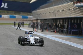 World © Octane Photographic Ltd. Williams Martini Racing FW37 – Felipe Massa. Tuesday 3rd February 2015, Formula 1 Winter testing, Jerez de la Frontera, Spain. Digital Ref: 1183LB1D2643