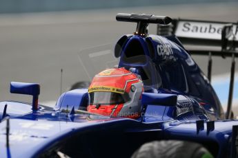 World © Octane Photographic Ltd. Sauber F1 Team C34-Ferrari – Felipe Nasr. Tuesday 3rd February 2015, Formula 1 Winter testing, Jerez de la Frontera, Spain. Digital Ref : 1183LB1D2856