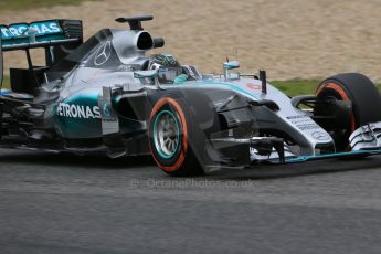 World © Octane Photographic Ltd. Mercedes AMG Petronas F1 W06 Hybrid – Nico Rosberg. Tuesday 3rd February 2015, Formula 1 Winter testing, Jerez de la Frontera, Spain. Digital Ref : 1183LB1D2908