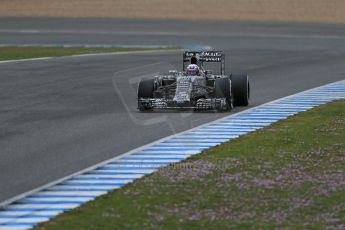 World © Octane Photographic Ltd. Infiniti Red Bull Racing RB11 – Daniel Ricciardo. Tuesday 3rd February 2015, Formula 1 Winter testing, Jerez de la Frontera, Spain. Digital Ref : 1183LB1D3544