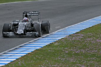 World © Octane Photographic Ltd. Infiniti Red Bull Racing RB11 – Daniel Ricciardo. Tuesday 3rd February 2015, Formula 1 Winter testing, Jerez de la Frontera, Spain. Digital Ref : 1183LB1D3550