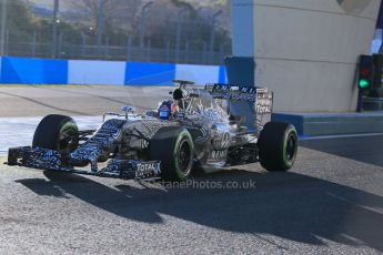 World © Octane Photographic Ltd. Infiniti Red Bull Racing RB11 – Daniil Kvyat. Wednesday 4th February 2015, Formula 1 Winter testing, Jerez de la Frontera, Spain. Digital Ref : 1184LB1D3927