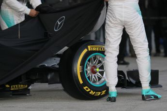 World © Octane Photographic Ltd. Mercedes AMG Petronas F1 W06 Hybrid launch. Sunday 1st February 2015, Formula 1 Winter testing, Jerez de la Frontera, Spain. Digital Ref : 1181CB1D0855