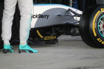 World © Octane Photographic Ltd. Mercedes AMG Petronas F1 W06 Hybrid launch. Sunday 1st February 2015, Formula 1 Winter testing, Jerez de la Frontera, Spain. Digital Ref : 1181CB1D0865
