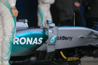 World © Octane Photographic Ltd. Mercedes AMG Petronas F1 W06 Hybrid launch. Sunday 1st February 2015, Formula 1 Winter testing, Jerez de la Frontera, Spain. Digital Ref : 1181CB1D0870