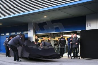 World © Octane Photographic Ltd. Mercedes AMG Petronas F1 W06 Hybrid launch. Sunday 1st February 2015, Formula 1 Winter testing, Jerez de la Frontera, Spain. Digital Ref : 1181LB1D1050