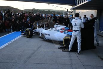 World © Octane Photographic Ltd. Mercedes AMG Petronas F1 W06 Hybrid launch. Sunday 1st February 2015, Formula 1 Winter testing, Jerez de la Frontera, Spain. Digital Ref : 1181LB1D1150
