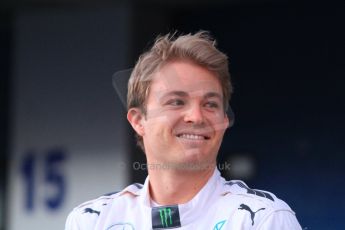 World © Octane Photographic Ltd. Mercedes AMG Petronas F1 W06 Hybrid launch - Nico Rosberg. Sunday 1st February 2015, Formula 1 Winter testing, Jerez de la Frontera, Spain. Digital Ref : 1181LB7D9290