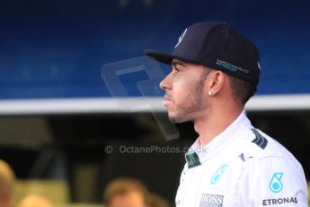 World © Octane Photographic Ltd. Mercedes AMG Petronas F1 W06 Hybrid launch - Lewis Hamilton. Sunday 1st February 2015, Formula 1 Winter testing, Jerez de la Frontera, Spain. Digital Ref : 1181LB7D9294