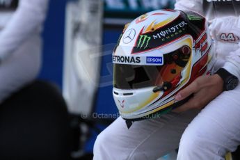 World © Octane Photographic Ltd. Mercedes AMG Petronas F1 W06 Hybrid launch - Lewis Hamilton. Sunday 1st February 2015, Formula 1 Winter testing, Jerez de la Frontera, Spain. Digital Ref : 1181LB7D9330