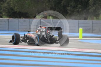World © Octane Photographic Ltd. Pirelli wet tyre test, Paul Ricard, France. Monday 25th January 2016. McLaren Honda MP4/30 – Stoffel Vandoorne. Digital Ref: 1498CB1D8436