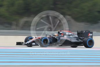 World © Octane Photographic Ltd. Pirelli wet tyre test, Paul Ricard, France. Monday 25th January 2016. McLaren Honda MP4/30 – Stoffel Vandoorne. Digital Ref: 1498CB1D8616