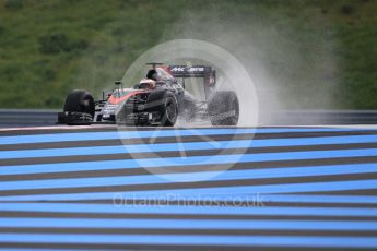 World © Octane Photographic Ltd. Pirelli wet tyre test, Paul Ricard, France. Monday 25th January 2016. McLaren Honda MP4/30 – Stoffel Vandoorne. Digital Ref: 1498CB1D8728