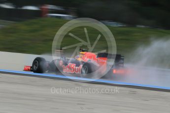 World © Octane Photographic Ltd. Pirelli wet tyre test, Paul Ricard, France. Monday 25th January 2016. Red Bull Racing RB11 – Daniel Ricciardo. Digital Ref: 1498CB1D8819