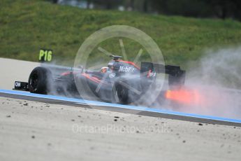 World © Octane Photographic Ltd. Pirelli wet tyre test, Paul Ricard, France. Monday 25th January 2016. McLaren Honda MP4/30 – Stoffel Vandoorne. Digital Ref: 1498CB1D8826