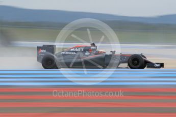 World © Octane Photographic Ltd. Pirelli wet tyre test, Paul Ricard, France. Monday 25th January 2016. McLaren Honda MP4/30 – Stoffel Vandoorne. Digital Ref: 1498CB1D9004