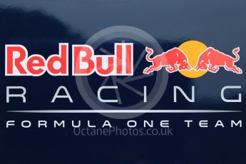 orld © Octane Photographic Ltd. Pirelli wet tyre test, Paul Ricard, France. Monday 25th January 2016. Red Bull Racing logo. Digital Ref: 1498CB7D5088