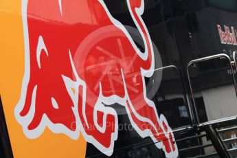 World © Octane Photographic Ltd. Pirelli wet tyre test, Paul Ricard, France. Monday 25th January 2016. Red Bull Racing logo. Digital Ref: 1498CB7D5092