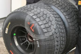 World © Octane Photographic Ltd. Pirelli wet tyre test, Paul Ricard, France. Monday 25th January 2016. McLaren Honda MP4/30 – Stoffel Vandoorne. Digital Ref: 1498CB7D5442