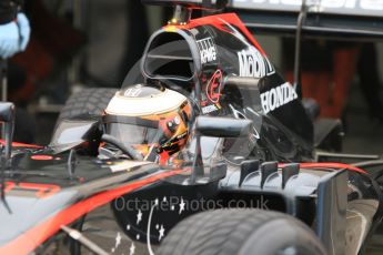 World © Octane Photographic Ltd. Pirelli wet tyre test, Paul Ricard, France. Monday 25th January 2016. McLaren Honda MP4/30 – Stoffel Vandoorne. Digital Ref: 1498CB7D5520