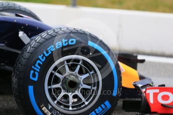 World © Octane Photographic Ltd. Pirelli wet tyre test, Paul Ricard, France. Monday 25th January 2016. Red Bull Racing RB11 – Daniel Ricciardo. Digital Ref: 1498LB1D5488