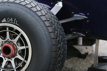 World © Octane Photographic Ltd. Pirelli wet tyre test, Paul Ricard, France. Monday 25th January 2016. Red Bull Racing RB11 – Daniel Ricciardo. Digital Ref: 1498LB1D5559