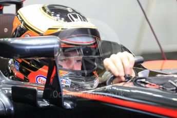 World © Octane Photographic Ltd. Pirelli wet tyre test, Paul Ricard, France. Monday 25th January 2016. McLaren Honda MP4/30 – Stoffel Vandoorne. Digital Ref: 1498LB5D5151