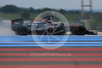 World © Octane Photographic Ltd. Pirelli wet tyre test, Paul Ricard, France. Monday 25th January 2016. McLaren Honda MP4/30 – Stoffel Vandoorne. Digital Ref: 1498LB5D5293