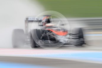 World © Octane Photographic Ltd. Pirelli wet tyre test, Paul Ricard, France. Tuesday 26th January 2016. McLaren Honda MP4/30 – Stoffel Vandoorne. Digital Ref: 1499CB1D0036