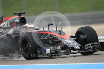 World © Octane Photographic Ltd. Pirelli wet tyre test, Paul Ricard, France. Tuesday 26th January 2016. McLaren Honda MP4/30 – Stoffel Vandoorne. Digital Ref: 1499CB1D0055
