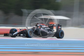 World © Octane Photographic Ltd. Pirelli wet tyre test, Paul Ricard, France. Tuesday 26th January 2016. McLaren Honda MP4/30 – Stoffel Vandoorne. Digital Ref: 1499CB1D9454