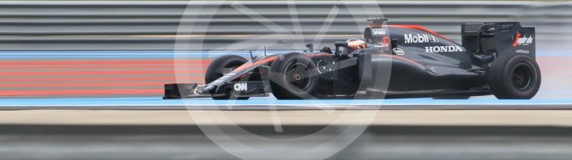 World © Octane Photographic Ltd. Pirelli wet tyre test, Paul Ricard, France. Tuesday 26th January 2016. McLaren Honda MP4/30 – Stoffel Vandoorne. Digital Ref: 1499CB1D9521