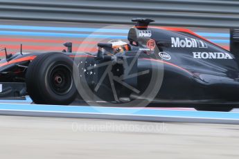 World © Octane Photographic Ltd. Pirelli wet tyre test, Paul Ricard, France. Tuesday 26th January 2016. McLaren Honda MP4/30 – Stoffel Vandoorne. Digital Ref: 1499CB1D9601