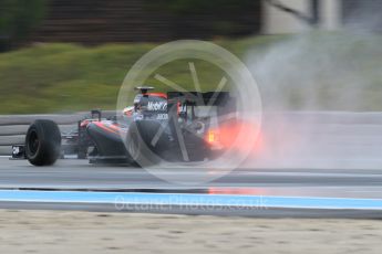 World © Octane Photographic Ltd. Pirelli wet tyre test, Paul Ricard, France. Tuesday 26th January 2016. McLaren Honda MP4/30 – Stoffel Vandoorne. Digital Ref: 1499CB1D9655