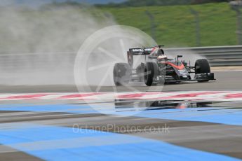 World © Octane Photographic Ltd. Pirelli wet tyre test, Paul Ricard, France Tuesday 26th January 2016. McLaren Honda MP4/30 – Stoffel Vandoorne. Digital Ref. 1499CB1D9774